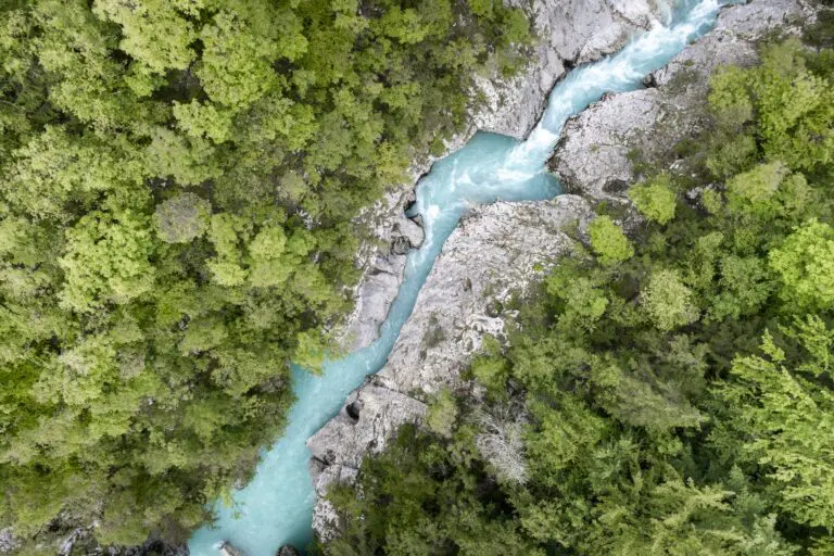 aerial view of turquoise river flowing through green forest