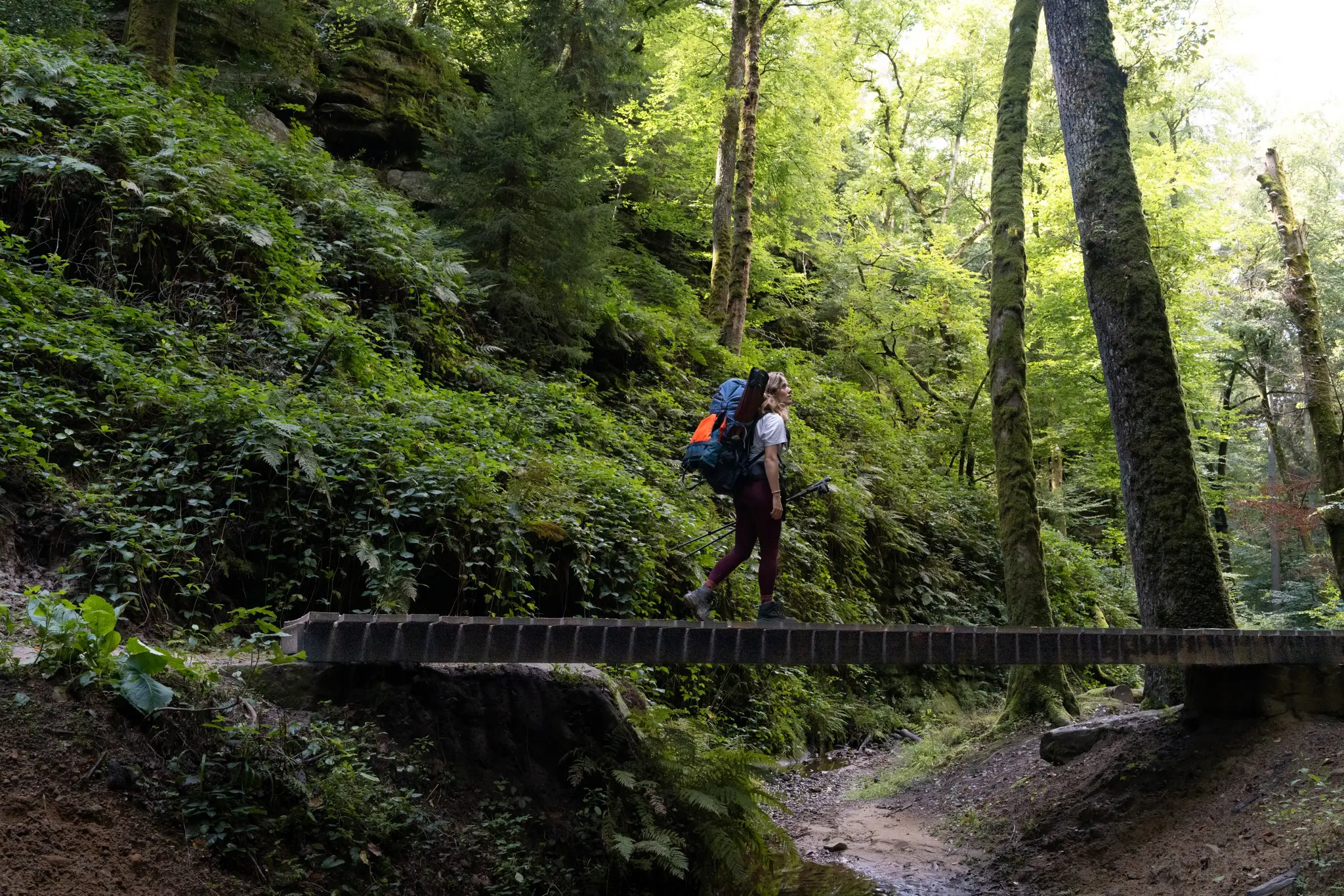 Wanderer mit Rucksack überquert eine Holzbrücke in einem üppigen Wald