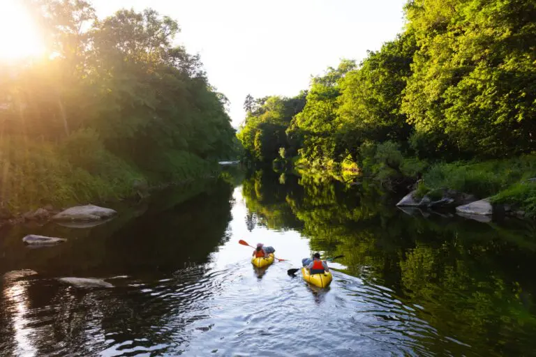 zwei Menschen, die auf einem von üppig grünen Bäumen gesäumten Fluss Kajak fahren