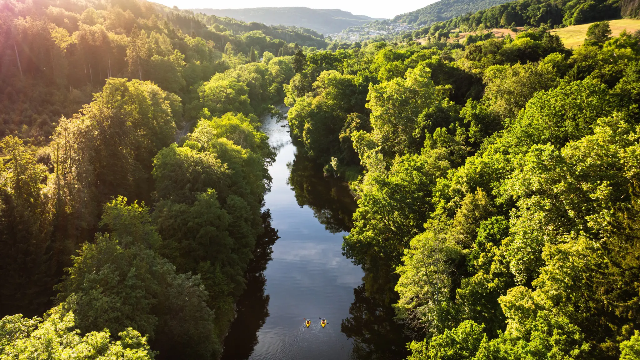 zwei gelbe Kajaks, die durch einen üppig grünen Wald flussabwärts paddeln