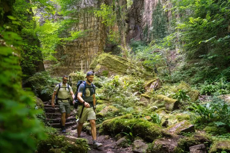 Zwei Männer wandern durch eine üppig grüne Waldschlucht